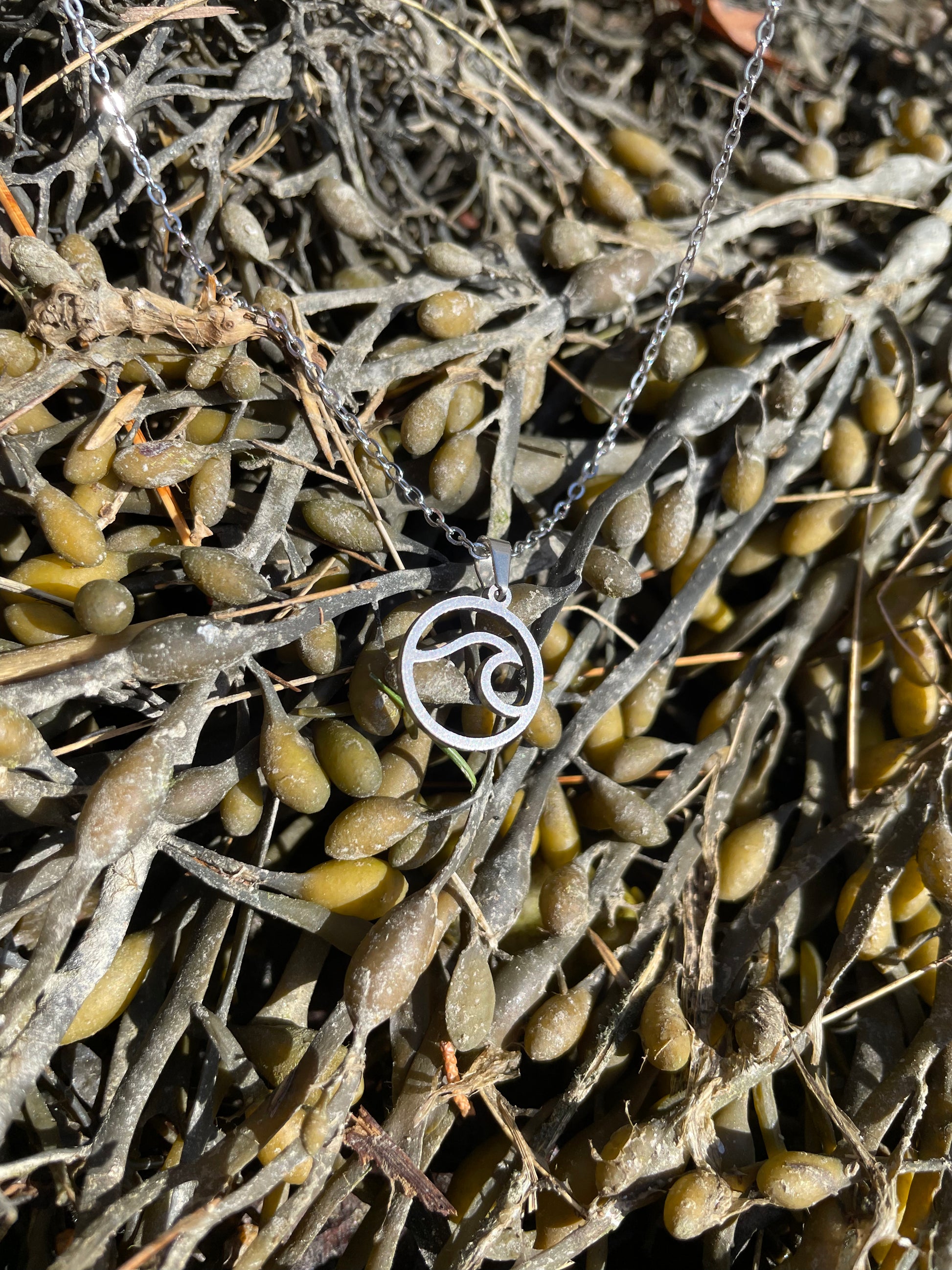 Stainless steel wave necklace on seaweed